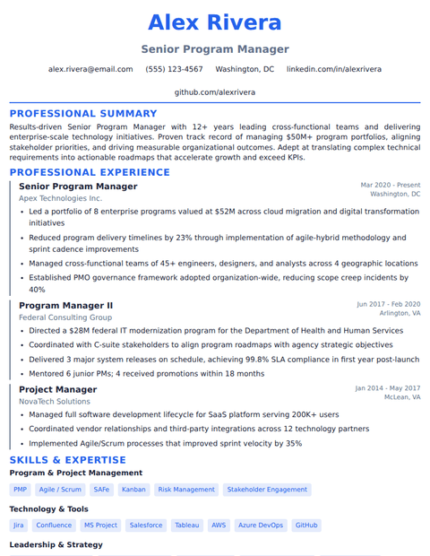 Modern Professional résumé template preview